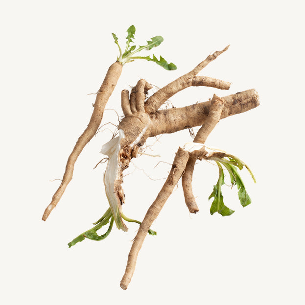 Inulin
