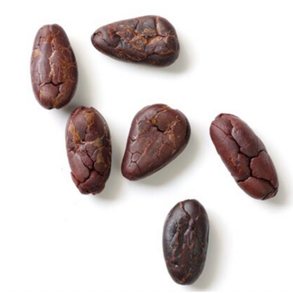Cocoa