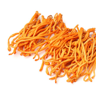 Cordyceps Mushroom