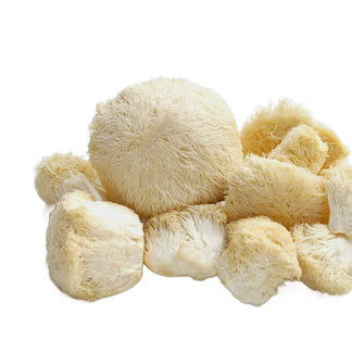 Lions mane mushroom
